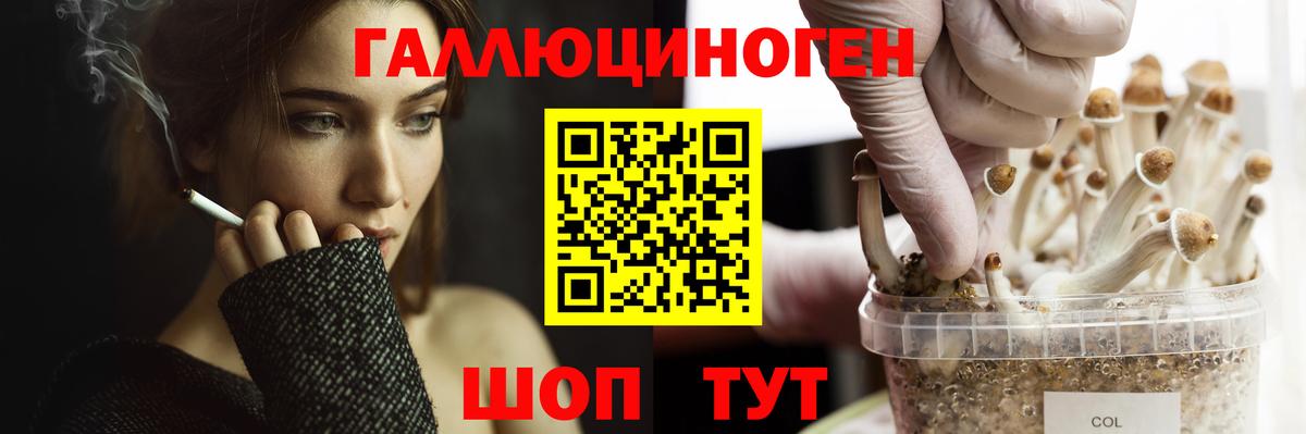 Галлюциногенные грибы MAGIC MUSHROOMS Калининград